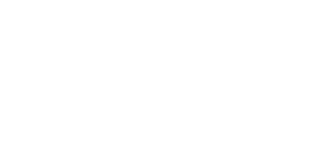 Pandion Health logo