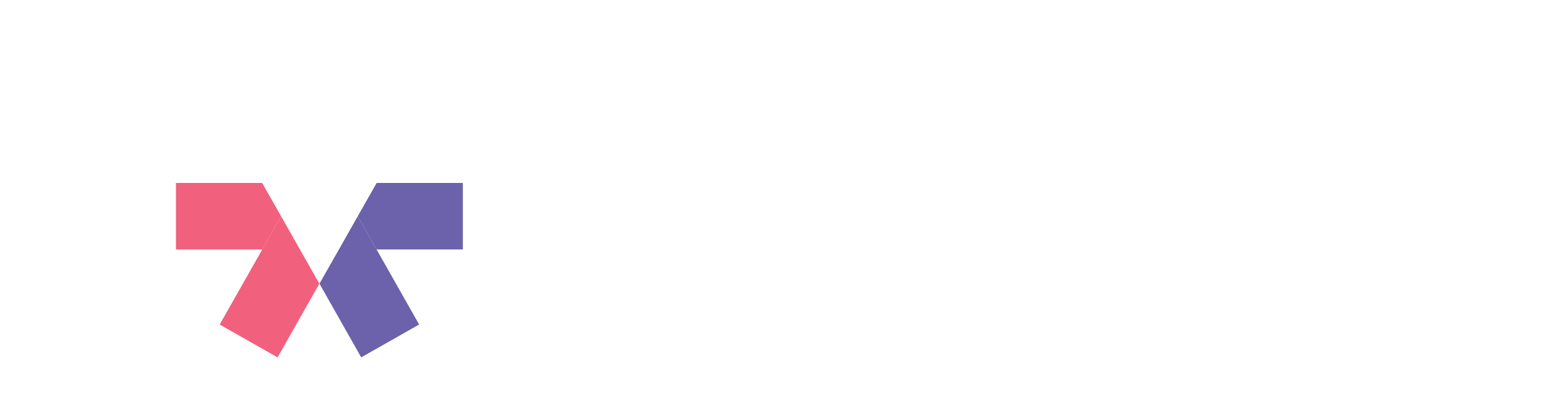 VEMSA logo